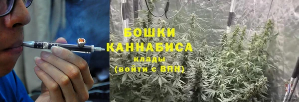 ГАЛЛЮЦИНОГЕННЫЕ ГРИБЫ Зеленокумск